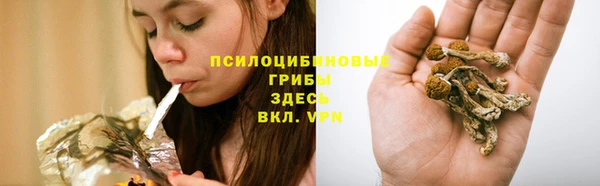 MESCALINE Медвежьегорск
