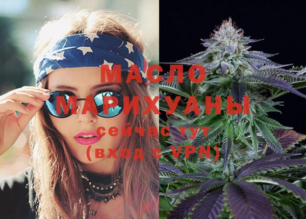 молекула духа Михайлов