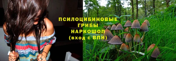 гидропоника Мегион