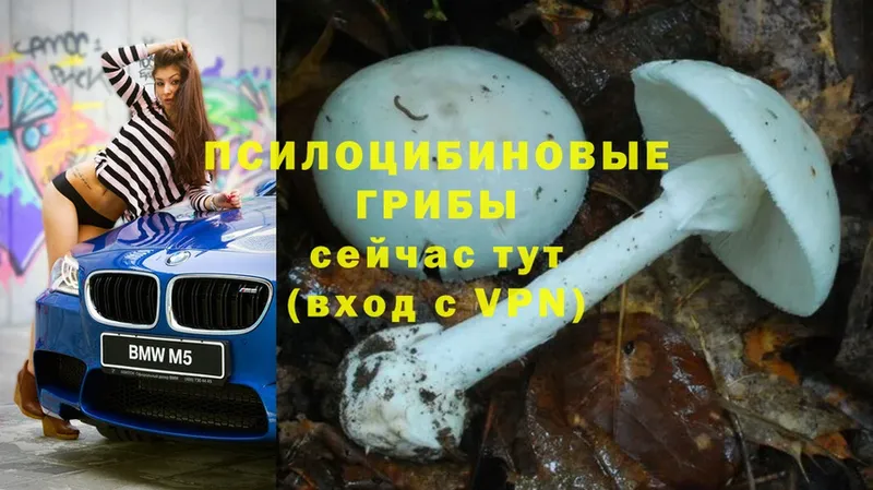 Псилоцибиновые грибы Psilocybine cubensis  кракен вход  Краснокамск 