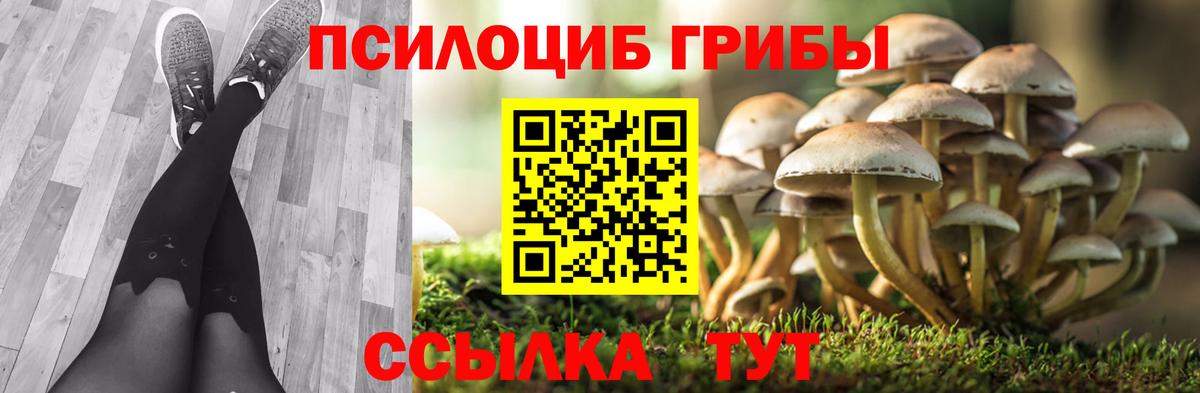 Псилоцибиновые грибы ЛСД Краснокамск