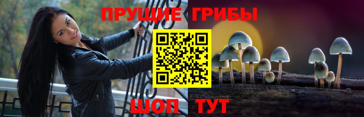 Краснокамск  Псилоцибиновые грибы ЛСД  Вход с VPN  Псилоцибиновые грибы Psilocybe 